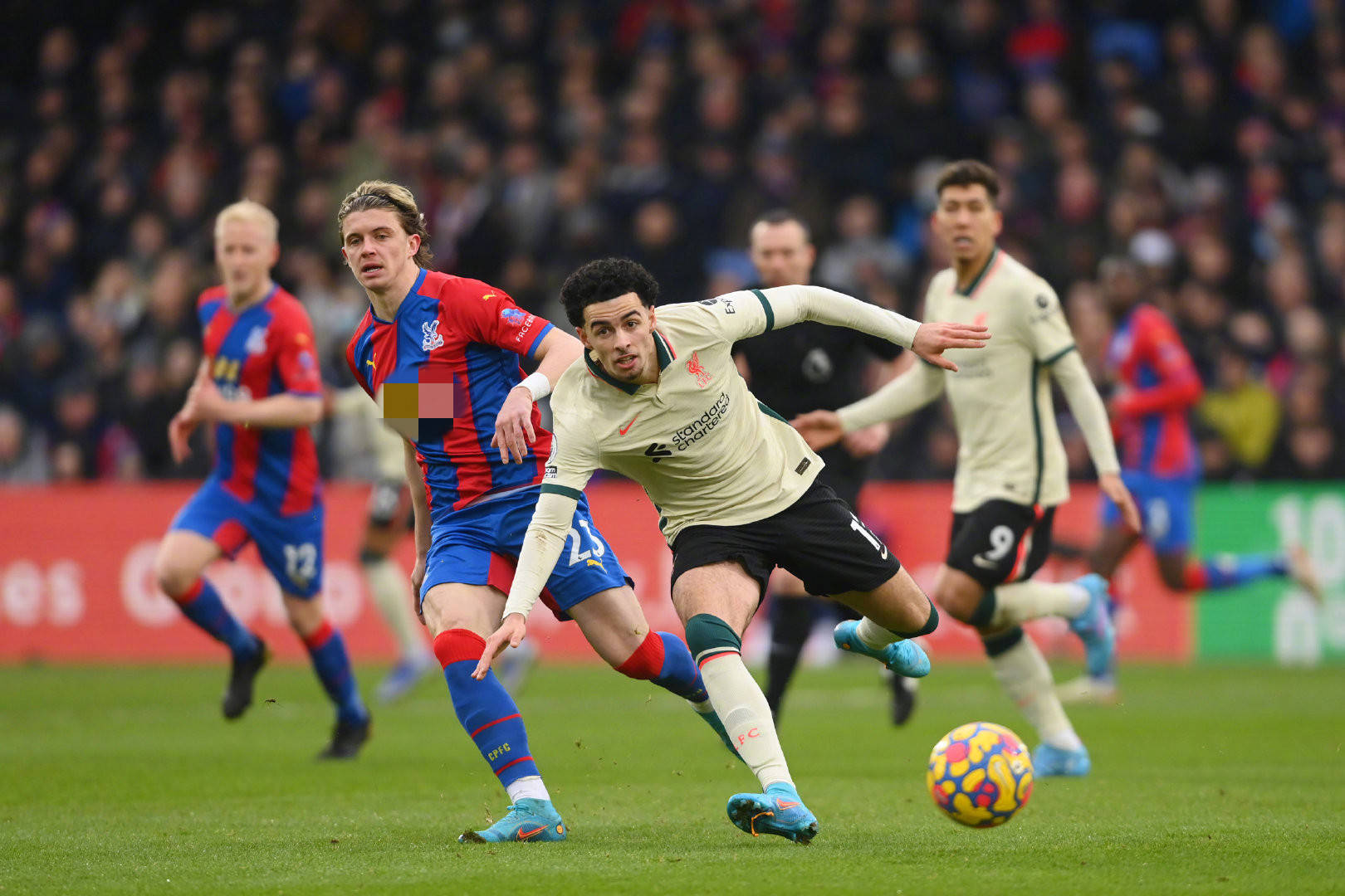 吸引更多来 吸引更多来